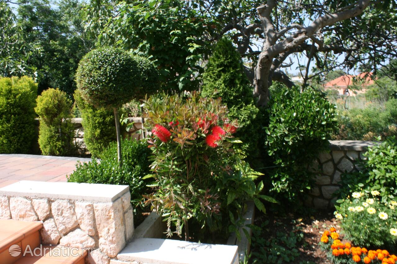 Appartamenti e camere con parcheggio Novaglia - Novalja, Pago - Pag - 6481