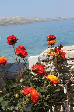 Apartments by the sea Metajna, Pag - 6497
