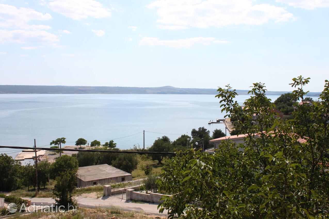 A-6549-c - Privatunterkunft - Ferienwohnungen am Meer Maslenica, Novigrad