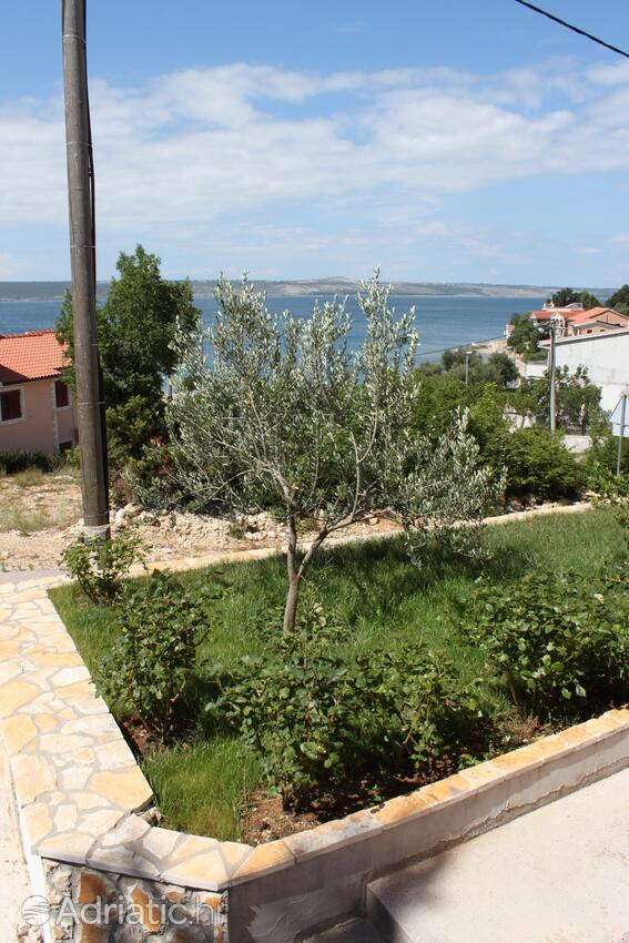 Hof - Ferienwohnungen am Meer Maslenica, Novigrad