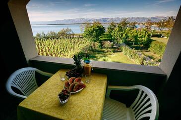 Apartamentos con piscina adecuados para familias con niños Nin, Zadar - 6560