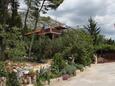 Apartamenty Starigrad (Paklenica) - 6585