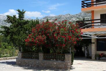 Apartments and rooms by the sea Starigrad, Paklenica - 6591