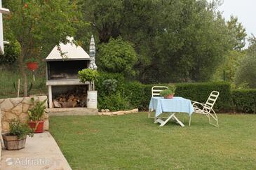 Appartements près de la mer Posedarje, Novigrad - 6617