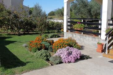 Appartamento di due stanze Brevilacqua - Privlaka Appartamento di due stanze Brevilacqua - Privlaka, Zara - Zadar (A-667-c(