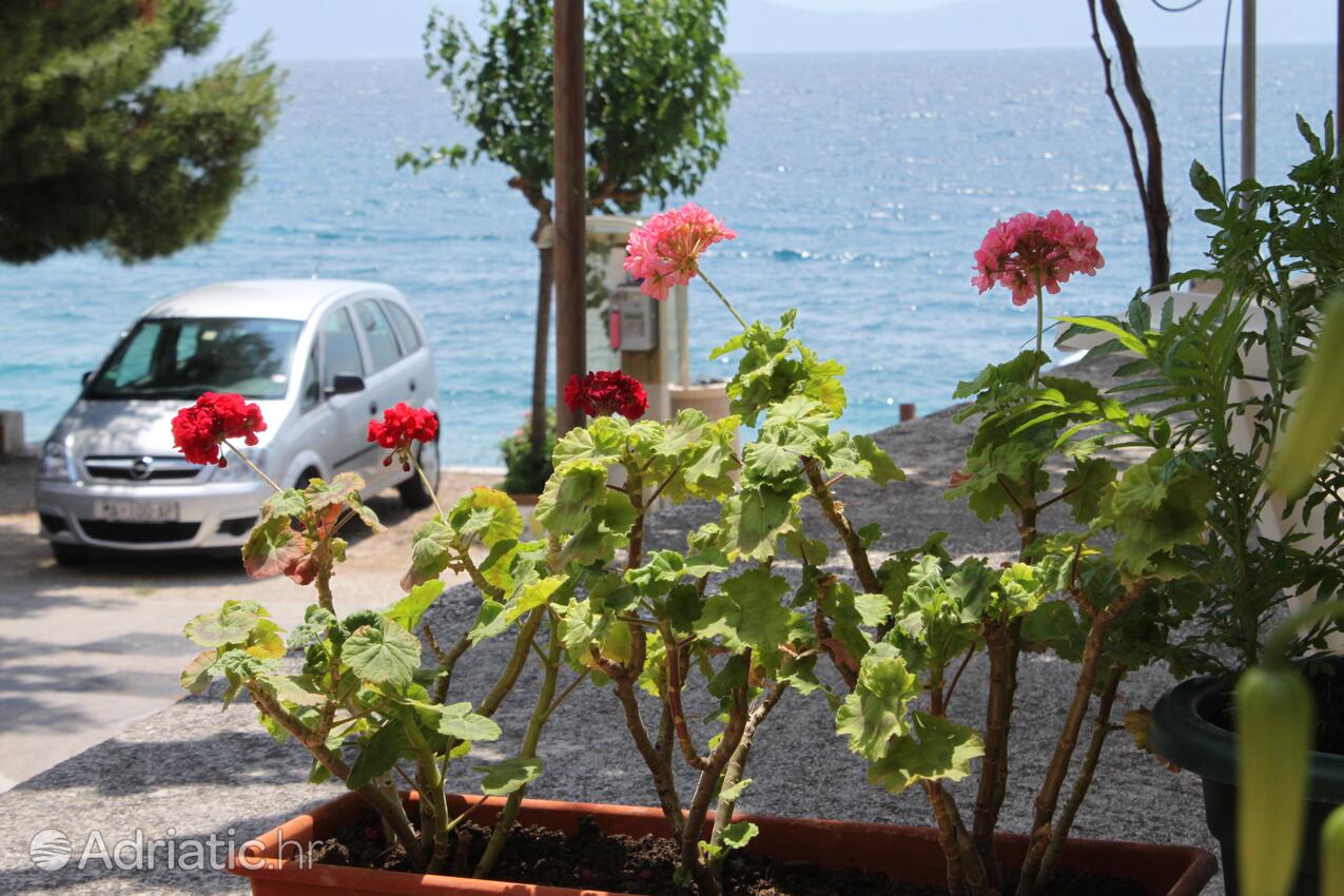Giardino - Appartamenti accanto al mare Podgora, Macarsca - Makarska