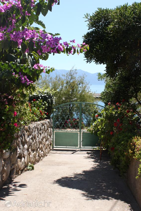 Giardino - Camere accanto al mare San Giorgio - Sućuraj, Lesina - Hvar