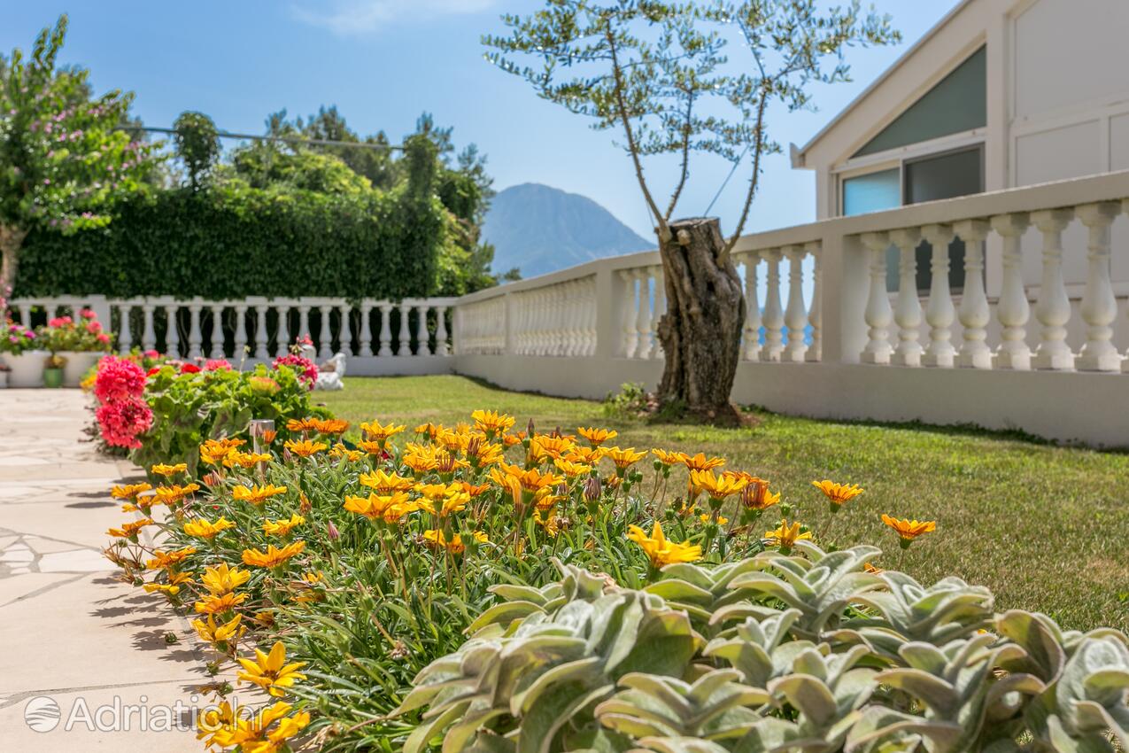 Courtyard - Apartments with a parking space Podaca, Makarska