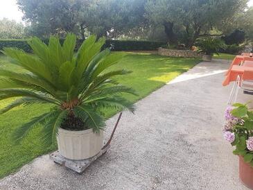 Apartmány s parkovištěm Makarská - Makarska - 6768 Adriatic.hr
