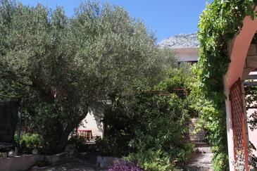 Apartments Tučepi, Central Dalmatia