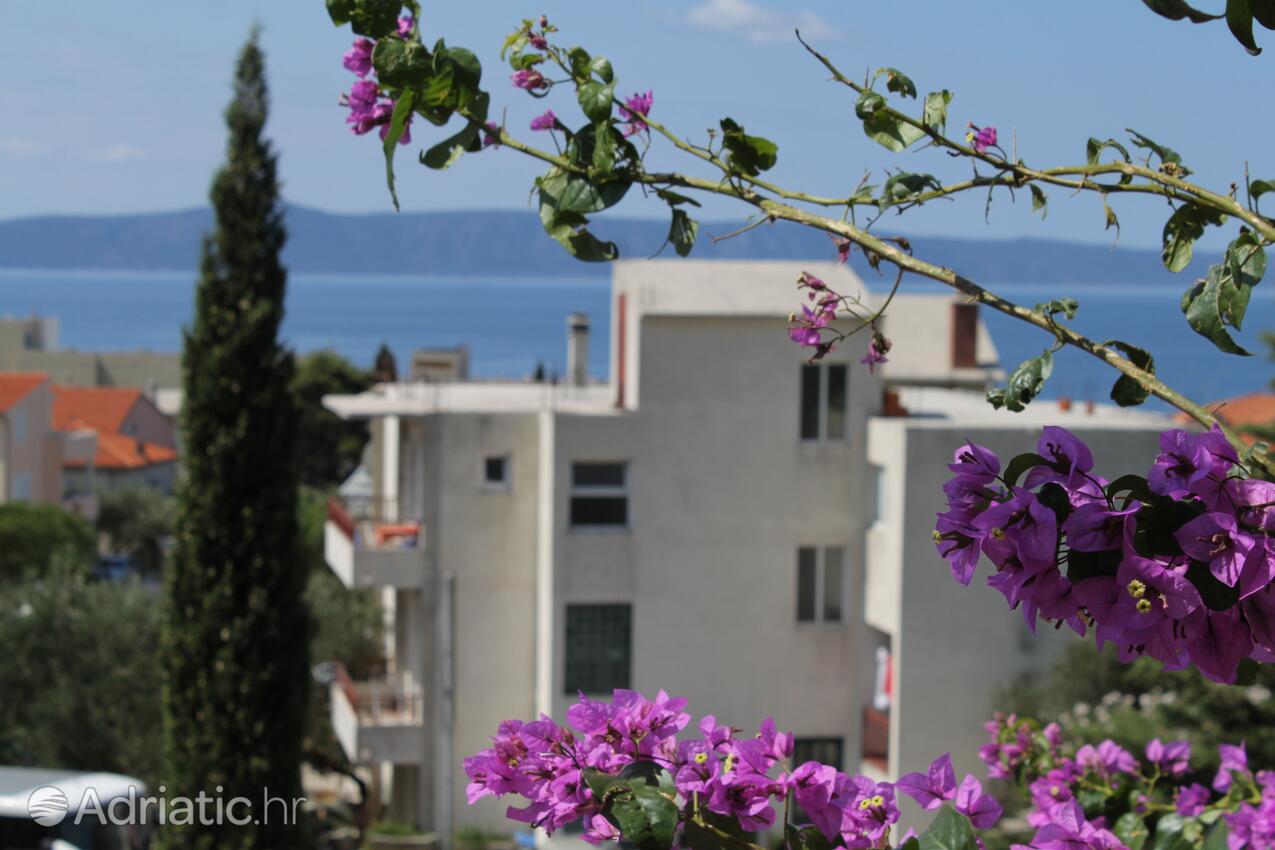 A-6817-b - Alojamiento privado - Apartamentos con piscina Tucepi, Makarska