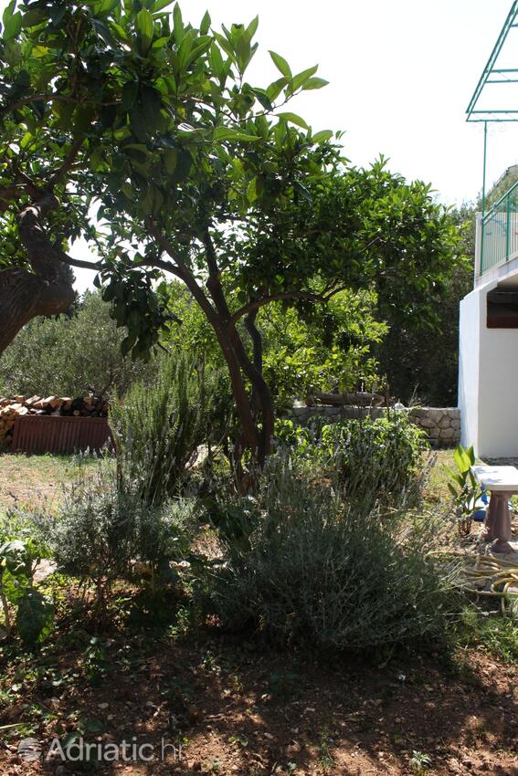 Courtyard - Apartments and rooms with parking space Gradac, Makarska