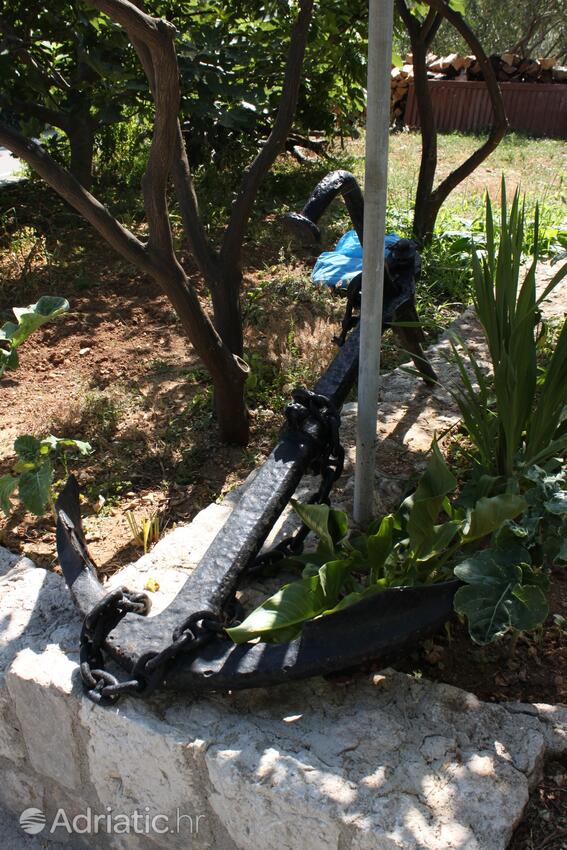 Courtyard - Apartments and rooms with parking space Gradac, Makarska
