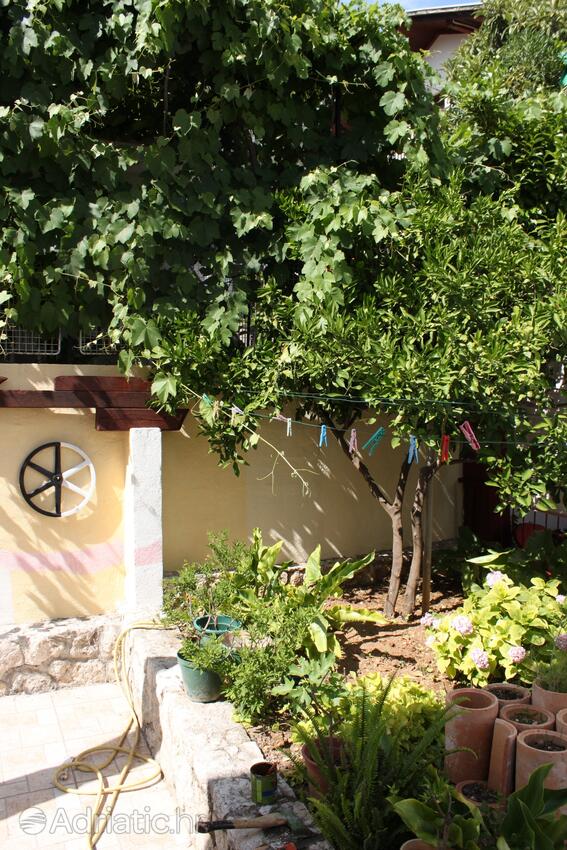Courtyard - Apartments and rooms with parking space Gradac, Makarska
