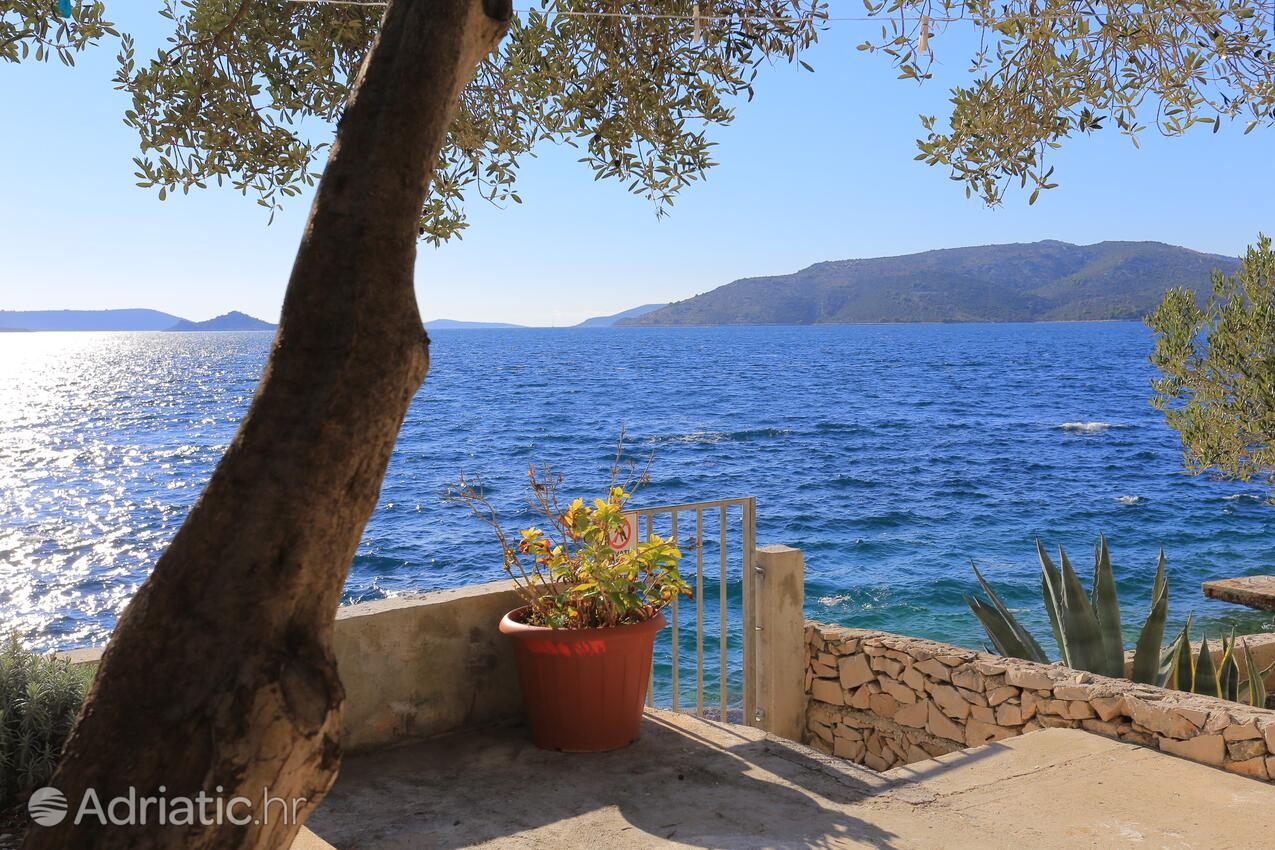 A-6859-d - Private accommodation - Apartments by the sea Okrug Donji, Čiovo