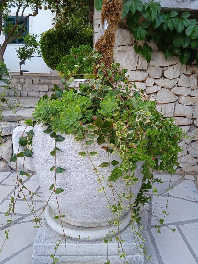Courtyard - Apartments by the sea Živogošće - Porat, Makarska