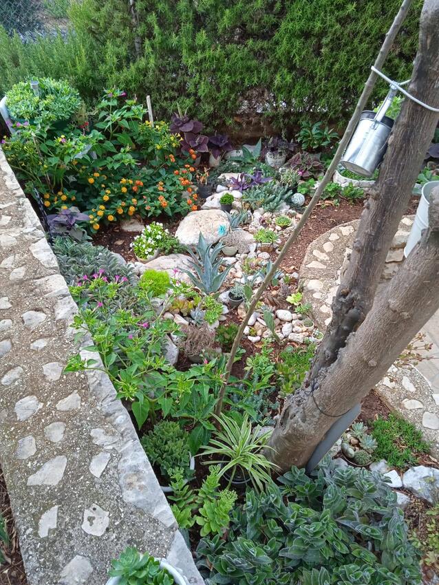 Courtyard - Apartments by the sea Živogošće - Porat, Makarska
