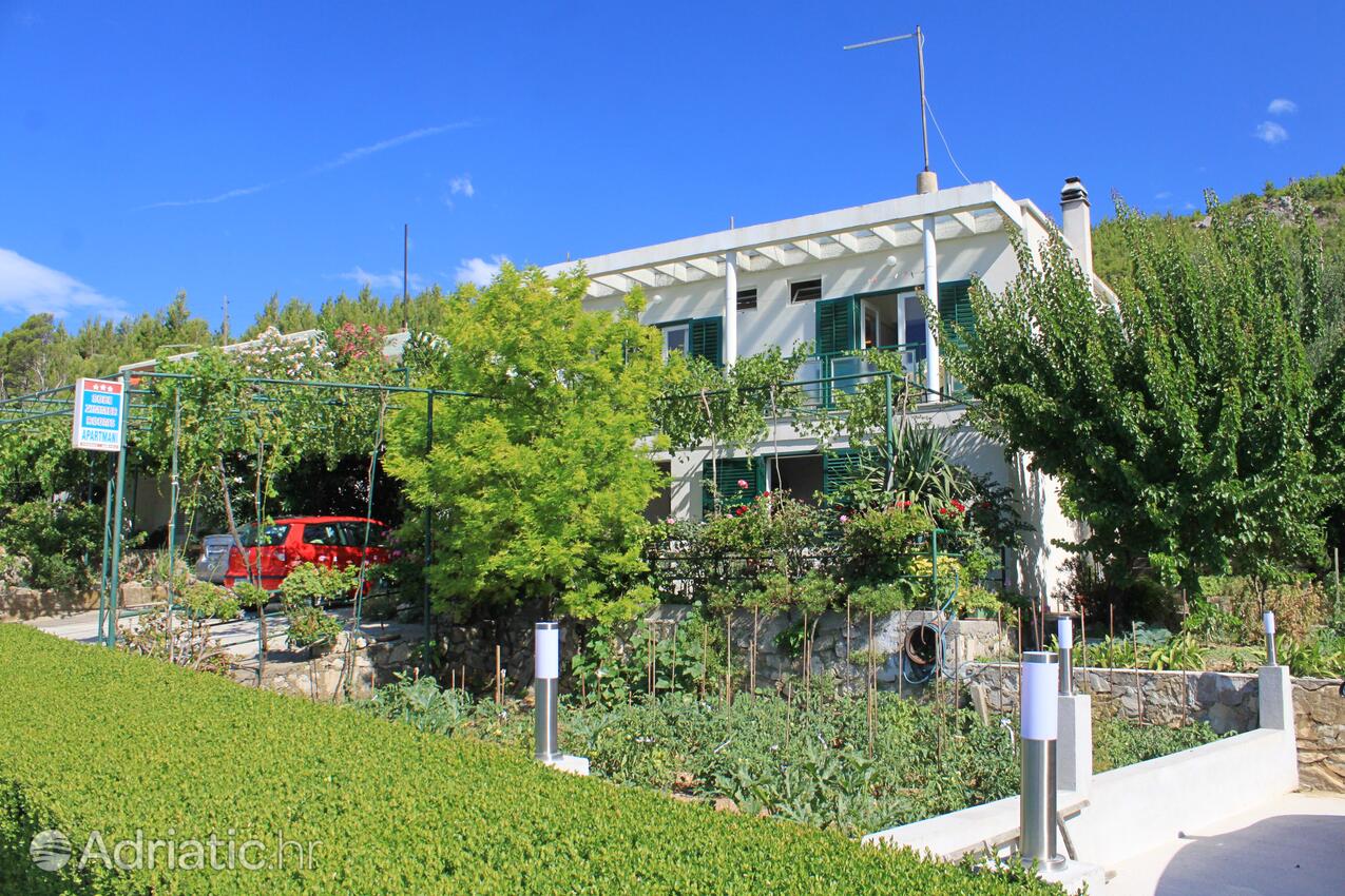 Apartments and rooms with parking space Tučepi, Makarska - 6901