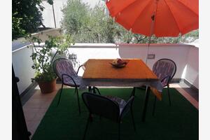 Jednosobni apartman Dajla Jednosobni apartman Dajla, Novigrad (A-6935-a)