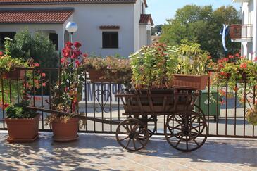 Apartments with terrace Vrsar, Istria
