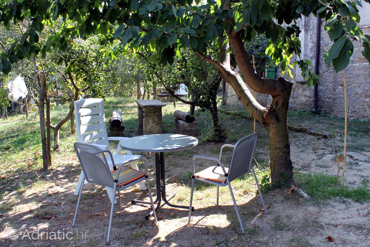 Apartments with WiFi Grožnjan, Central Istria - Središnja Istra - 7038
