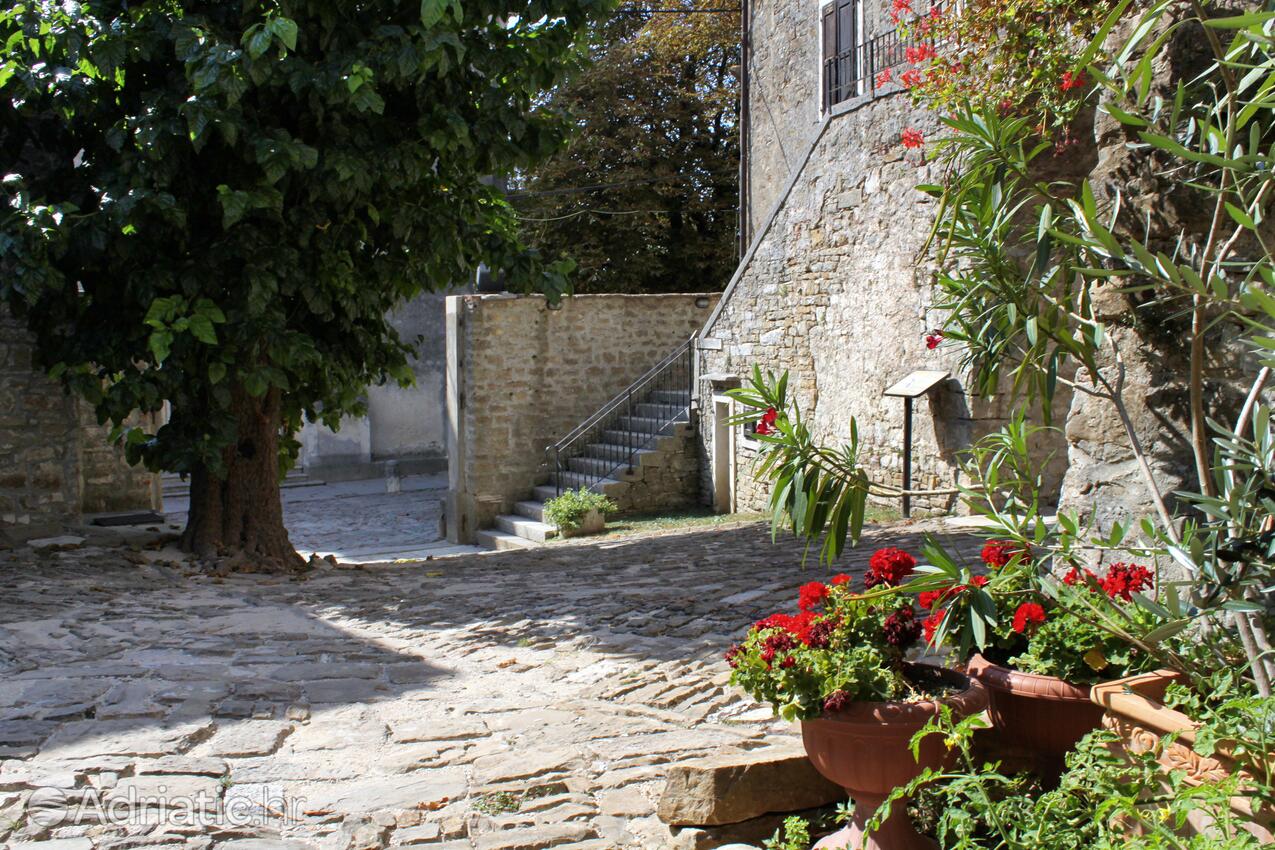 Apartments with WiFi Grožnjan, Central Istria - Središnja Istra - 7038