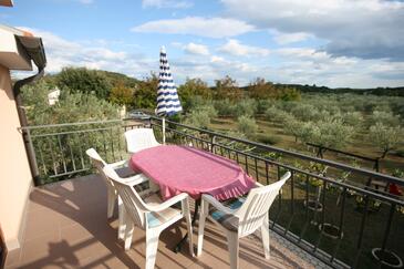 Apartments with terrace Vrsar, Istria