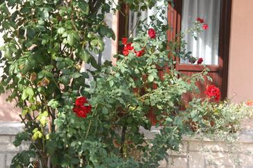 Apartments with terrace Vrsar, Istria