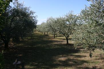 Apartments with terrace Vrsar, Istria