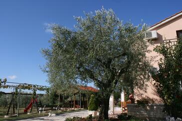 Apartments with terrace Vrsar, Istria