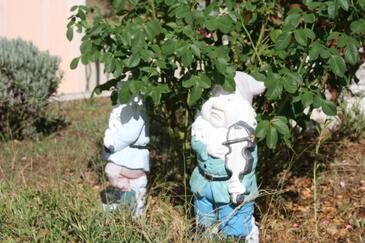 Apartments with terrace Vrsar, Istria