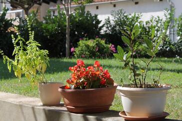 Apartmány Poreč, Istria