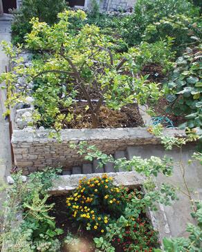 Apartments by the sea Sutivan, Brač - 719