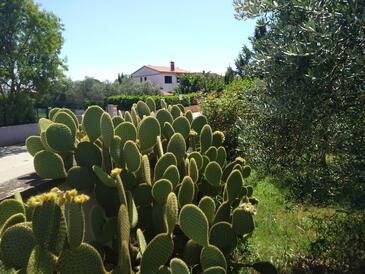 Ferienwohnungen mit Parkplatz Valbandon (Fazana) - 7305