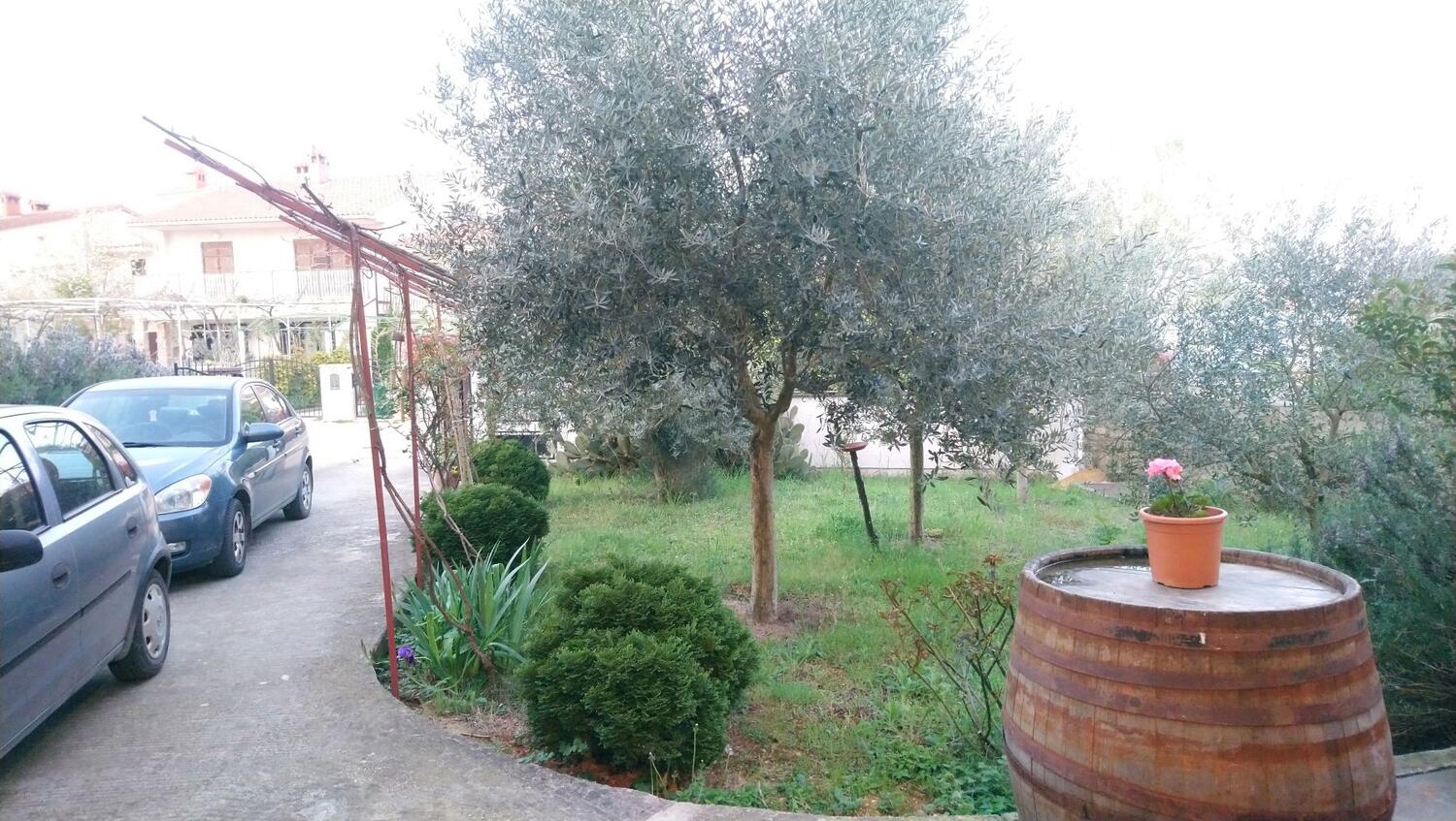 Giardino - Appartamenti con parcheggio Valbandon, Fasana - Fažana