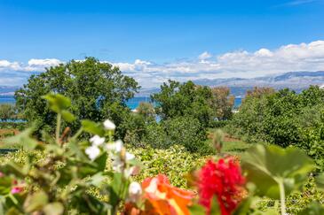 Apartments with terrace Mirca, Central Dalmatia