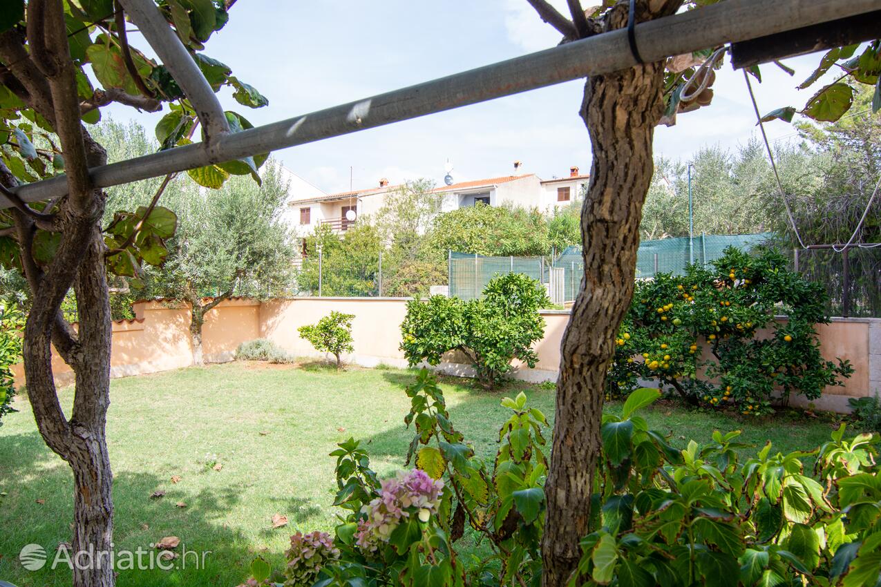 Apartmanok parkolóhellyel Stinjan, Pula - 7368
