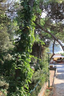 Apartament z tarasem Rovinj, Istria