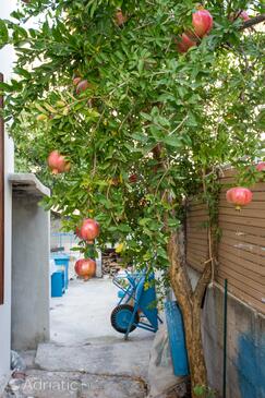 Apartmani uz more Rogoznica - 7558