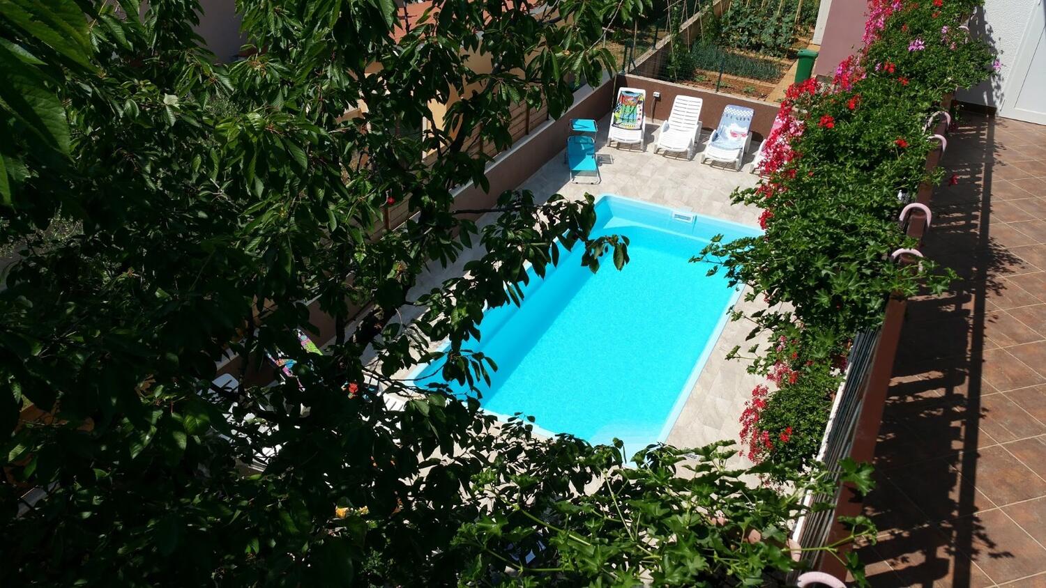 Family friendly apartments with a swimming pool Pula - 7610