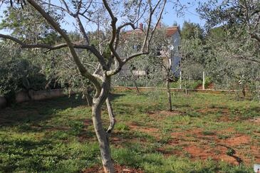 Apartments with terrace Pula, Istria