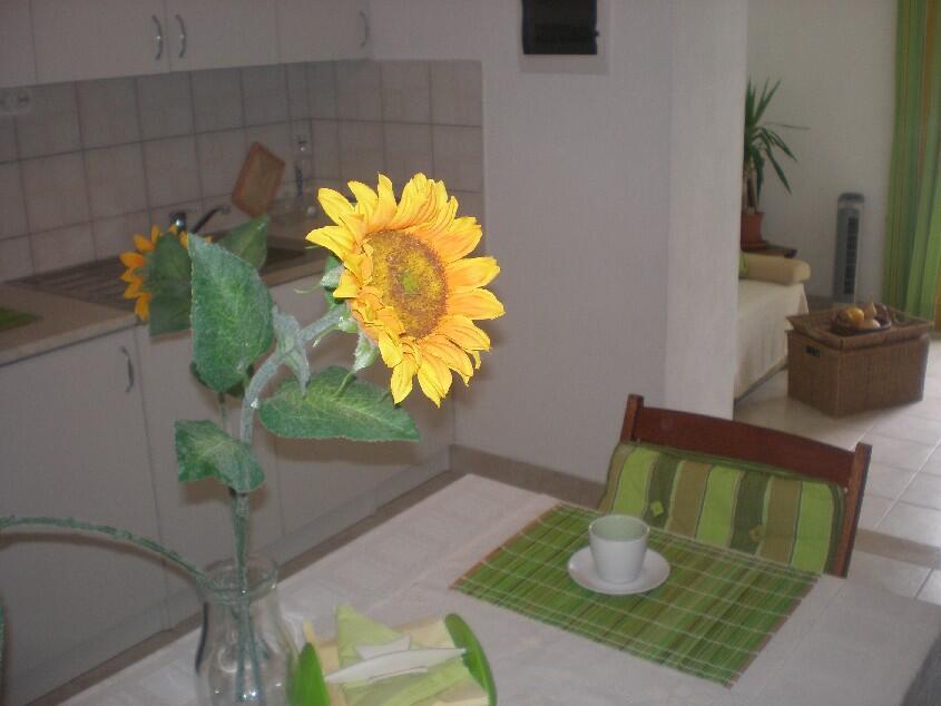 K-767 - Private accommodation - Seaside family friendly house with a swimming pool Puntinak, Brač