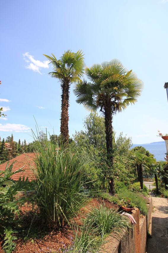 Studio-apartament z tarasem Opatija, Kvarner