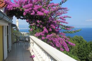 Apartamento para dos personas Medveja, Opatija (A-7721-a(