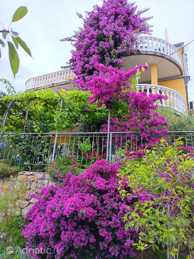 Appartementen met parkeerplaats Medveja, Opatija - 7721