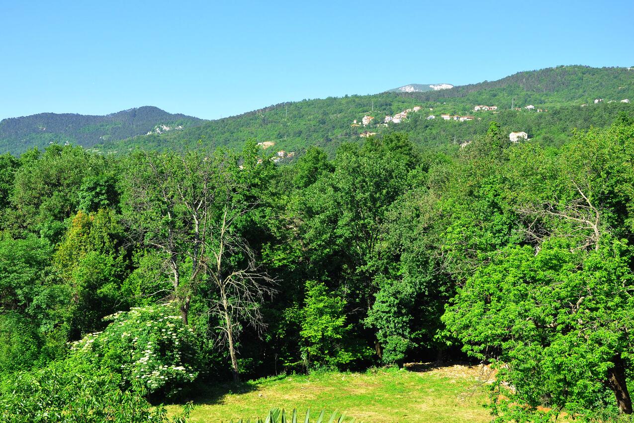 A-7728-a - Privatunterkunft - Ferienwohnungen mit Parkplatz Opric, Opatija