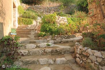 Apartmani za ljetovanje Lastovo - 7790