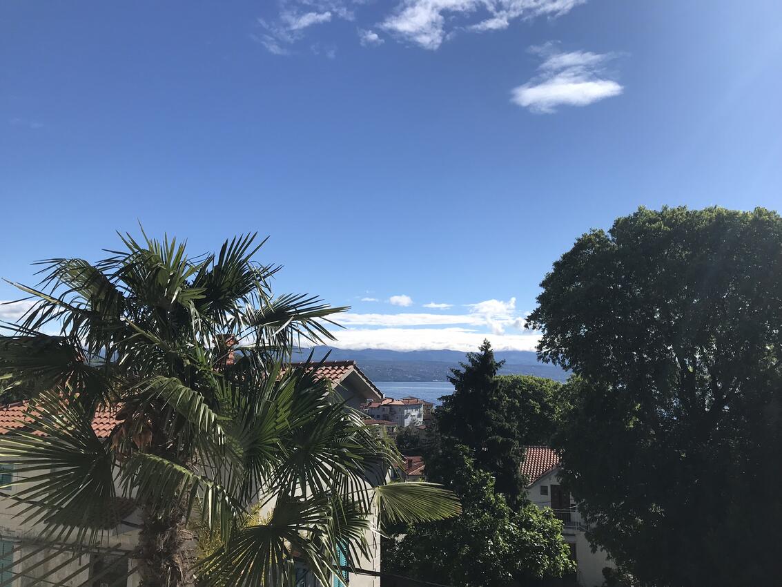 A-7838-a - Private accommodation - Apartments with a parking space Lovran, Opatija