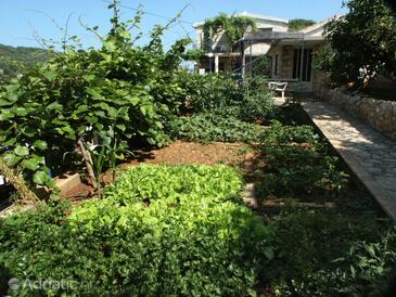 Apartmány u moře Stomorska, Šolta - 784