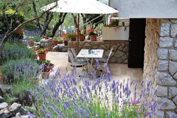 Apartments with parking space Cres - 7876